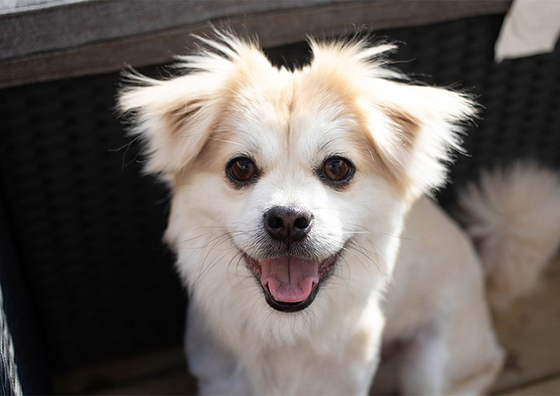 Carousel Slide 6: Learn more about our practice