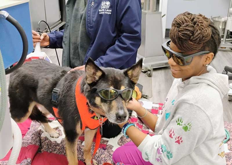 Carousel Slide 2: Laser therapy services